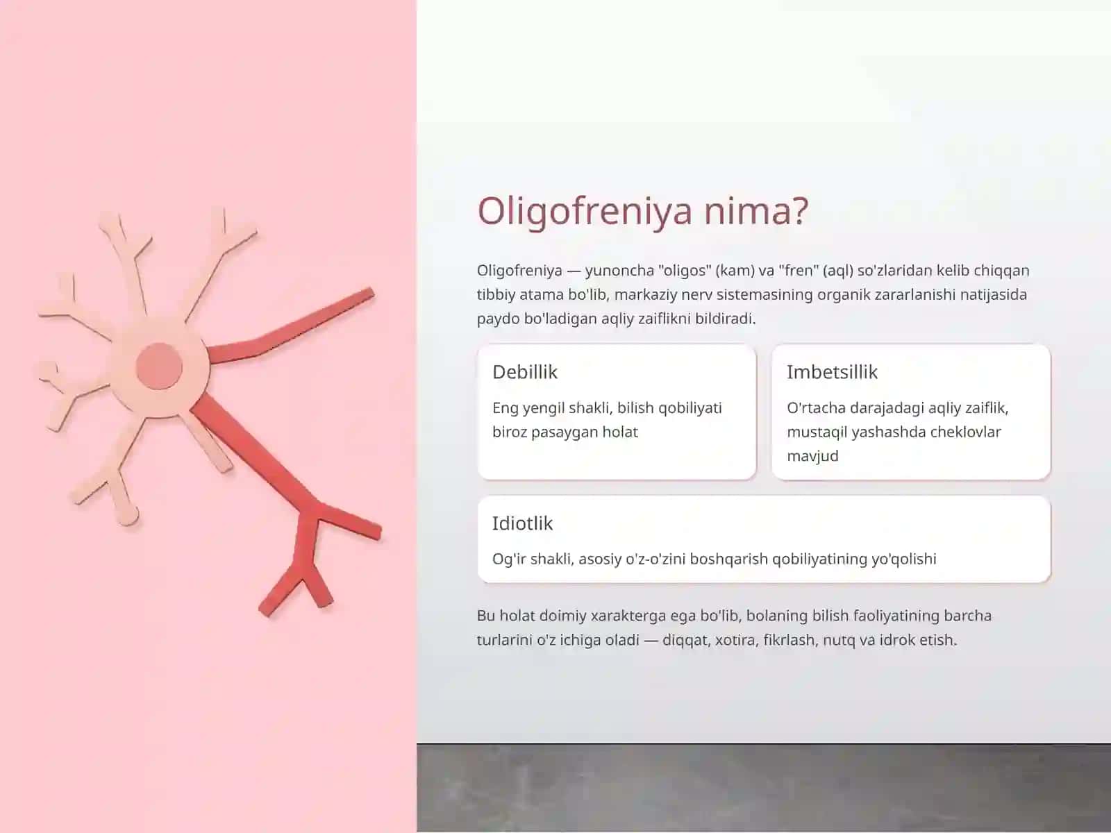 Oligofren bolalarda xotira va diqqatning o'ziga xos xususiyatlari 3