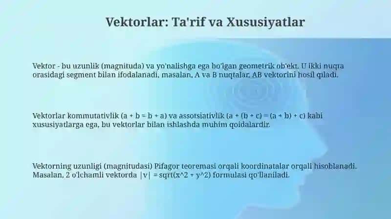 Vektor 3