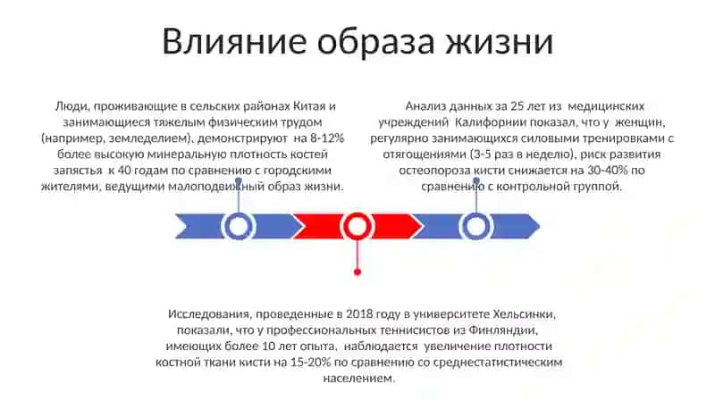 Влияние внутренних и внешних факторов на развитие костей кисти 3
