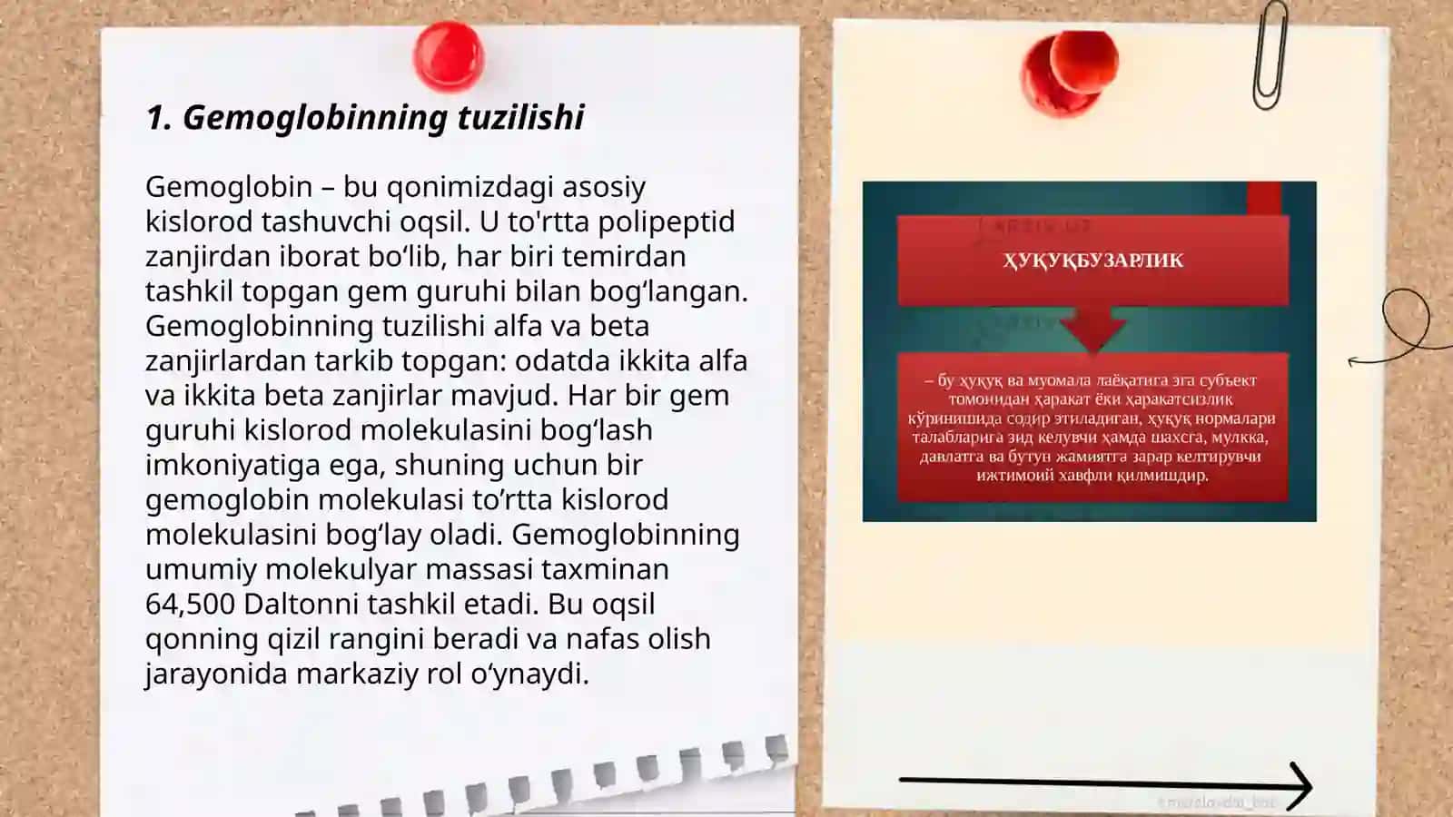 Gemoglobin va uning turlari. Leykotsitlar, tibbiyotdagi axamiyati 3