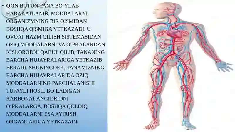 qonaylanishsistemasi2-qism 3