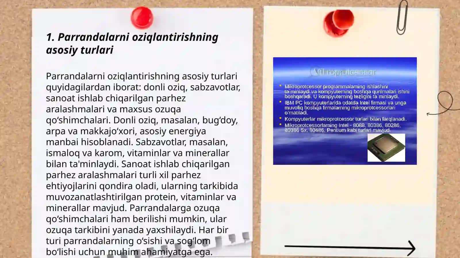 Parrandalarni oziqlantirishning asosiy turlari 3