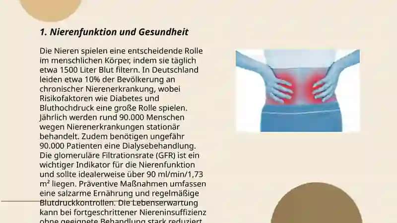 Nierenfunktion und Gesundheit 3