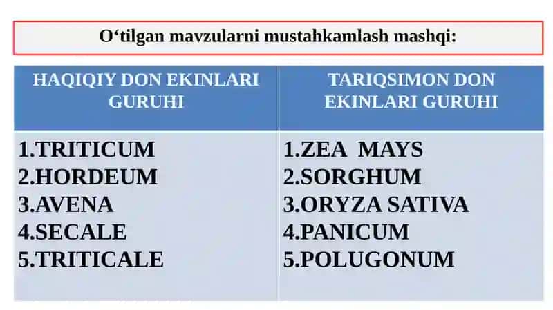DON-DUKKAKLI EKINLARNING UMUMIY TAVSIFI, NO‘XAT AHAMIYATI, BIOLOGIYASI VA YETISHTIRISH TEXNOLOGIYASI 3