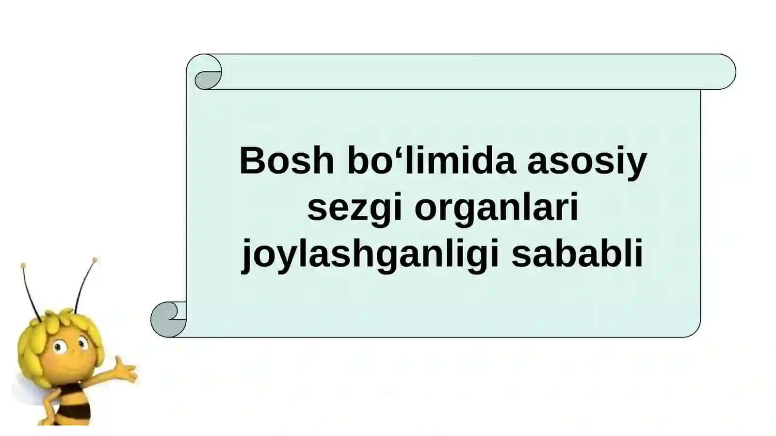 HAYVONLARNING TANA QOPLAMLARI VA HARAKAT ORGANLARI EVOLUTSIYASI 3
