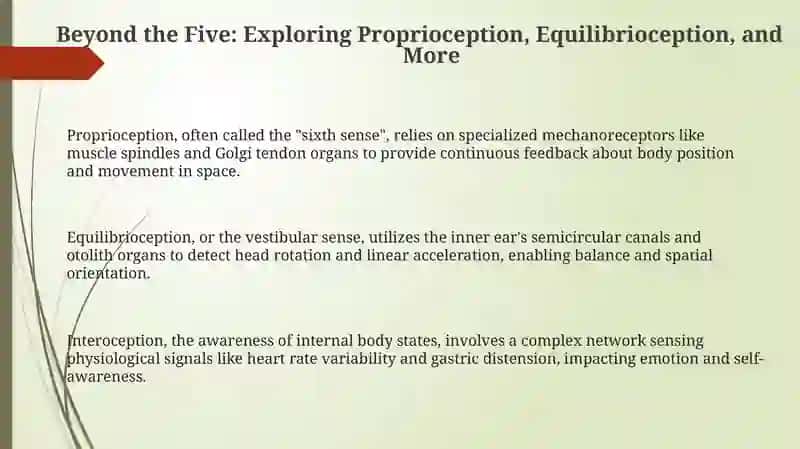 Beyond the Traditional Five: Unveiling Our Sensory World 3