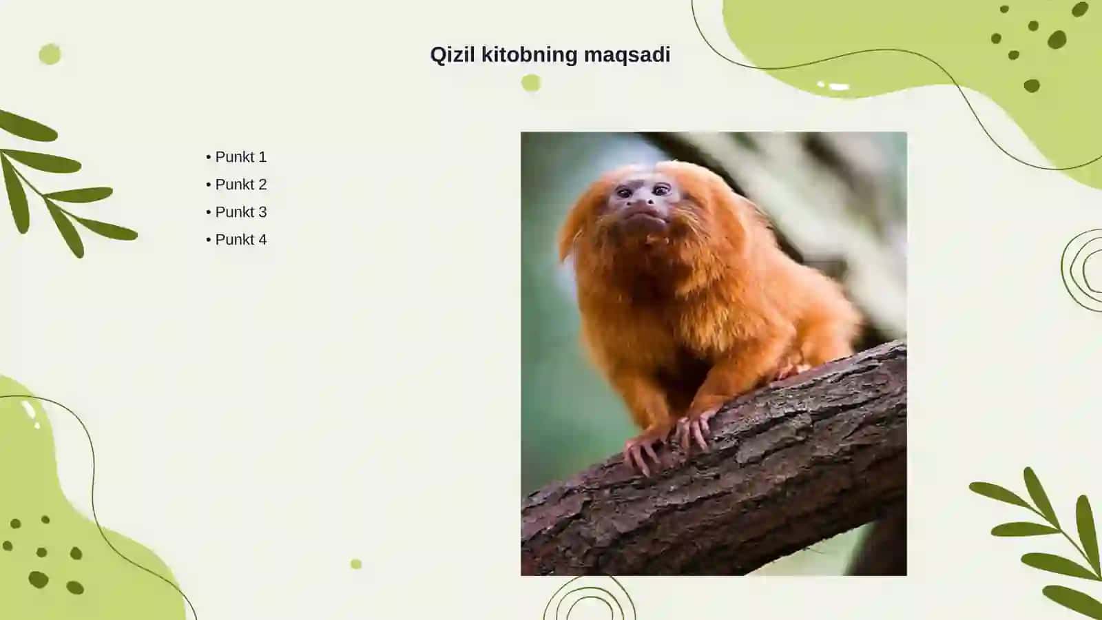 "Qizil kitob" ga kiritilgan oʻzimliklar bilan tanishish 3