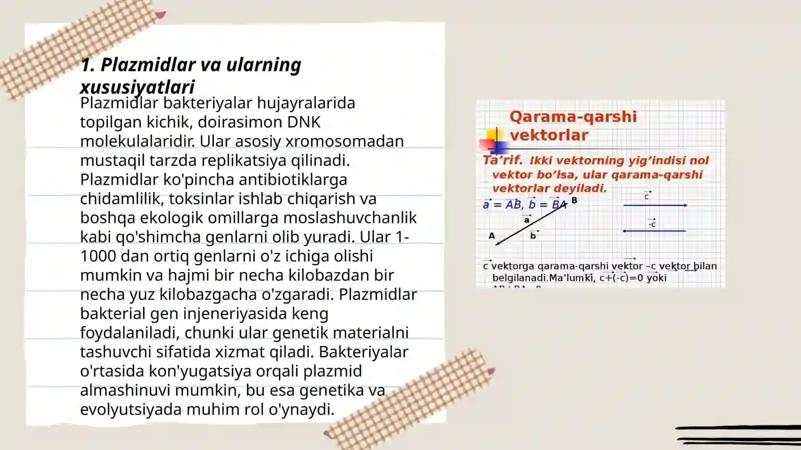 Plazmida va fag vektorlar toʻgʻrisida tushuncha 3