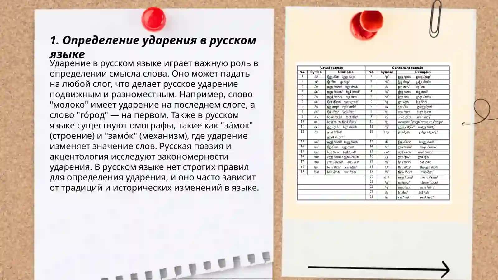 Фонетические средства реализации ударения 3