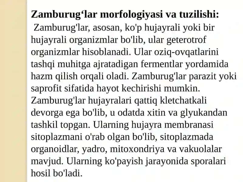 ZAMBURUG'LAR.ULARNING MORFOLOGIYASI, STRUKTURASI VA ULARNI O'RGANISH USULLARI 3