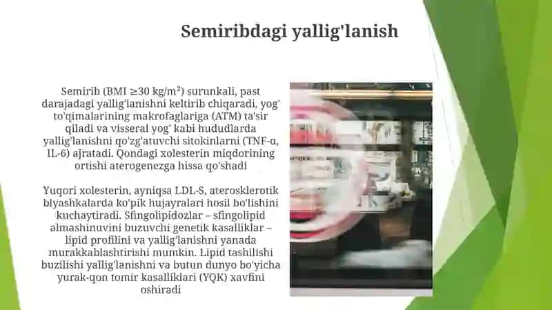 Semirib va dislipidemiya 3