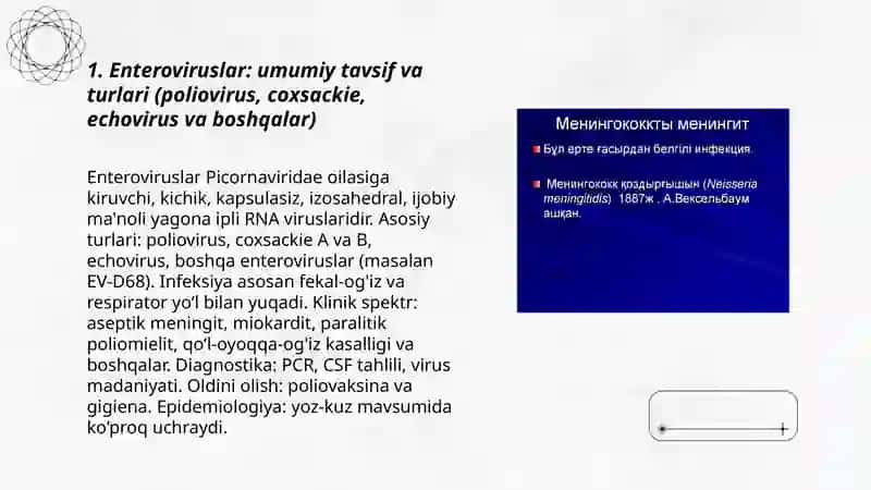 Enteroviruslar va ularning ko’rinishlari meningit miakordit 3