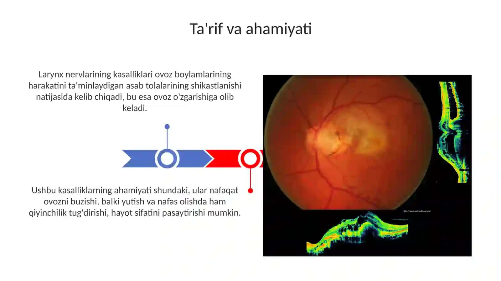 Kõruvnervkasalliklari 3
