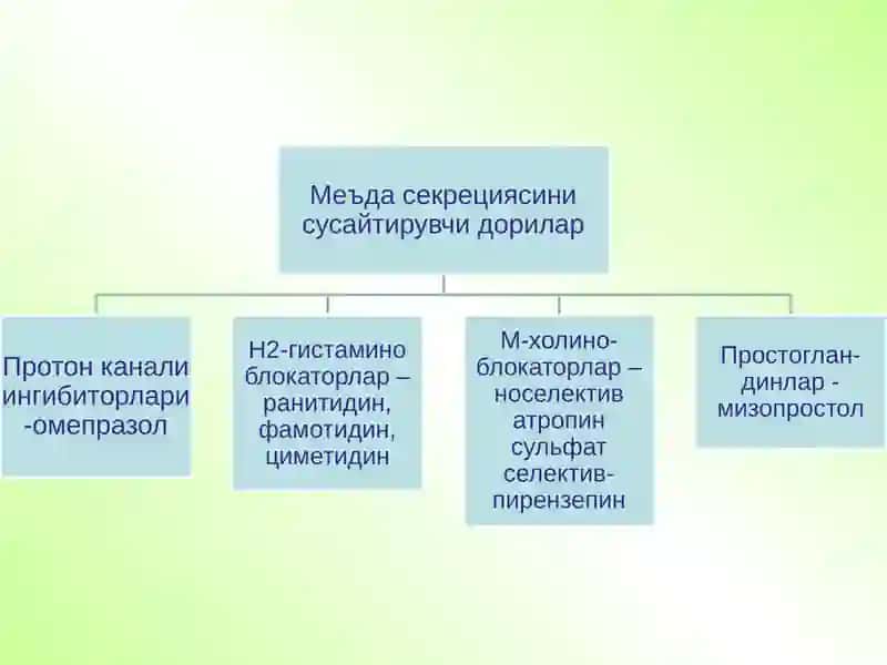 Хазм аъзолари фаолиятига таъсир килувчи дори воситалари 3