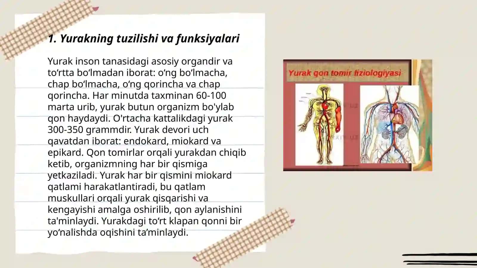 Qon va qon aylanish tizimining fiziologiyasi, yosh xususiyatlari va gigiyenasi 3