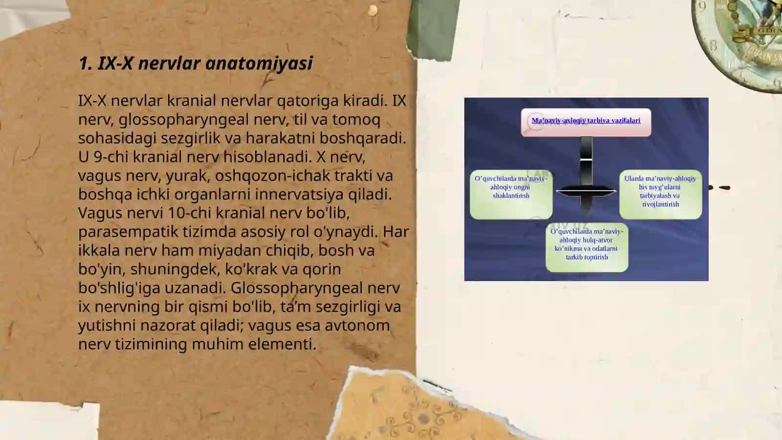 Orqa miyaning 9-10-juft nervlari haqida 3
