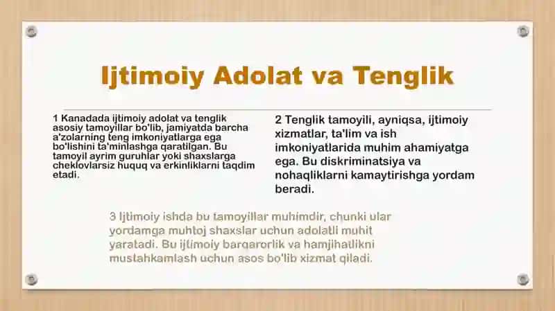 Kanada va Avstraliyada ijtimoiy ish faoliyatining asosiy tamoyillari 3