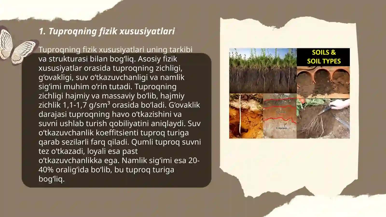 Tuproq turlari 3