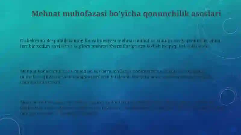 Mehnat Muhofazasi Qonunchilik Asoslari 3