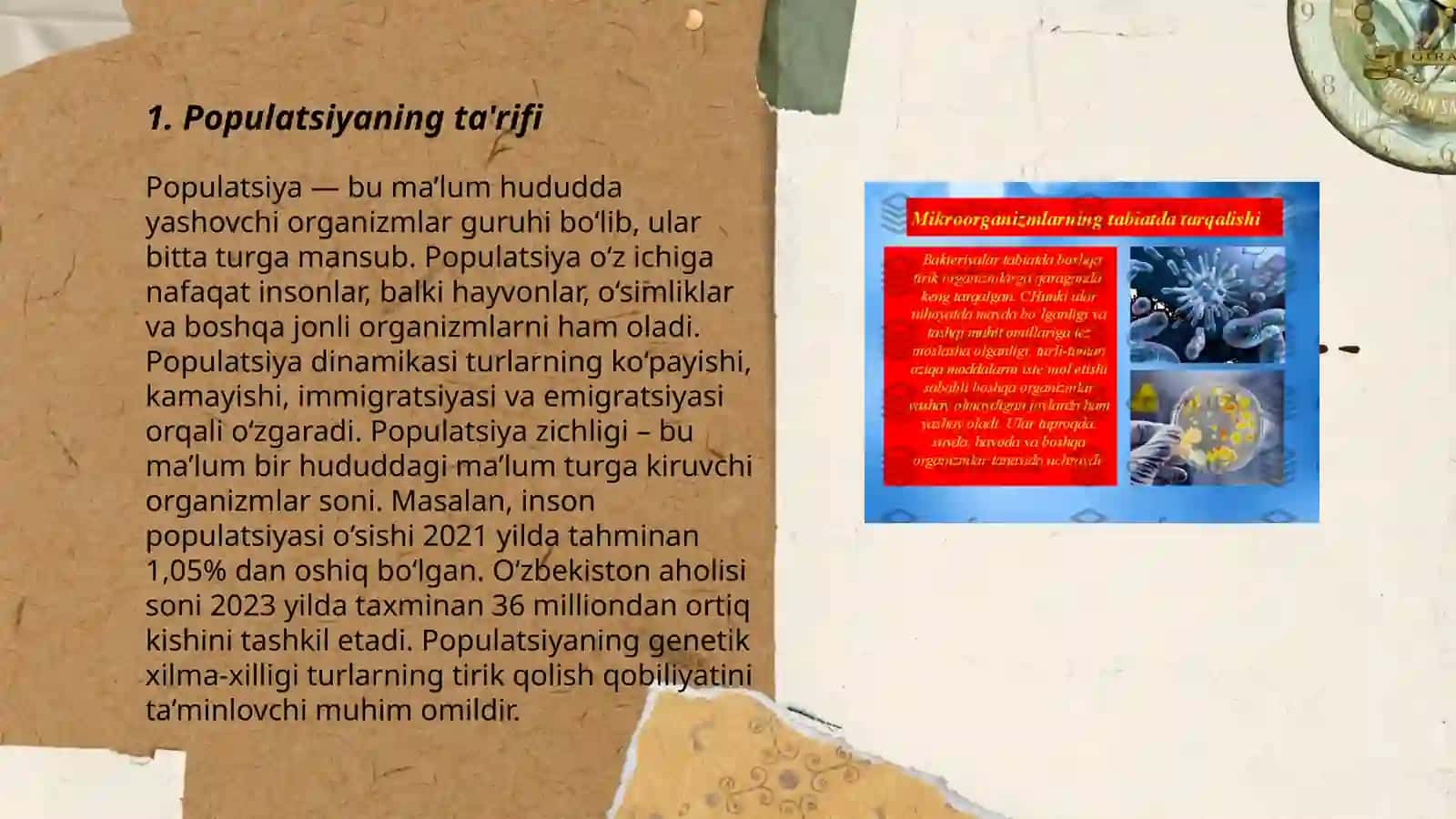 Populatsiya nima? Populatsiya strukturasi va mohiyati 3