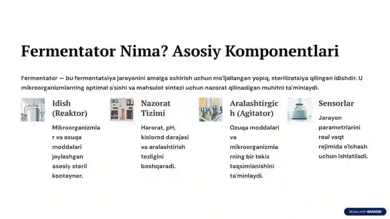 Fermentatorlarning Asosiy Turlari va Vazifalari 3