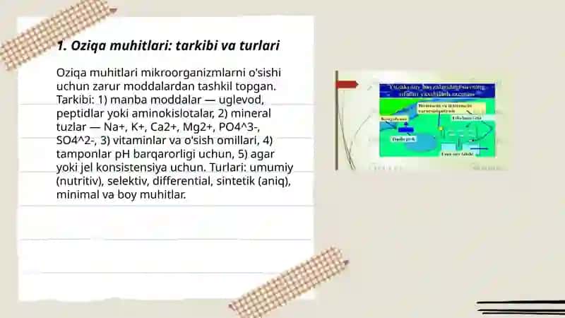 Oziqa muhitlari: tarkibi va turlari 3