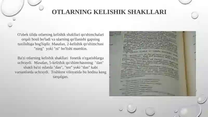 Otlarning kelishik shakllari 3