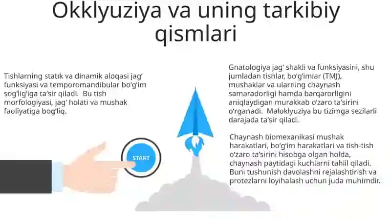 Gnatalogiya.Tish jag' sistemasining morfofunksional elementlari va ularning o'zaro bog'liqligi, chaynash apparati biomexanikasi 3