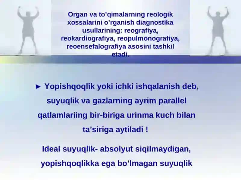 Bioreologiya 3