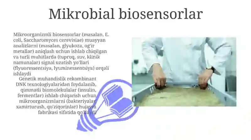 Mikroorganizimlarning gen muhandisligida qo‘llanilishi 3