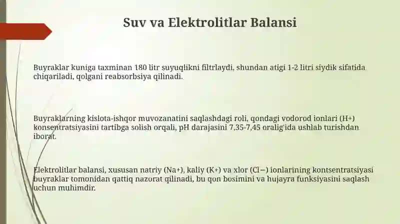 Ayiruv sistemasi. Buyraklar fiziologiyasi 3
