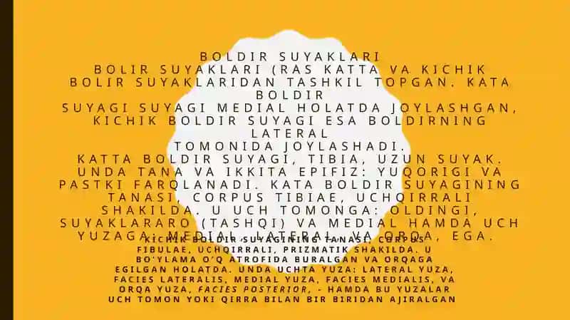 Oyoq erkinqismi suyaklari: tuzilishi va ularning yoshgadoi ruxsusiylatla 3