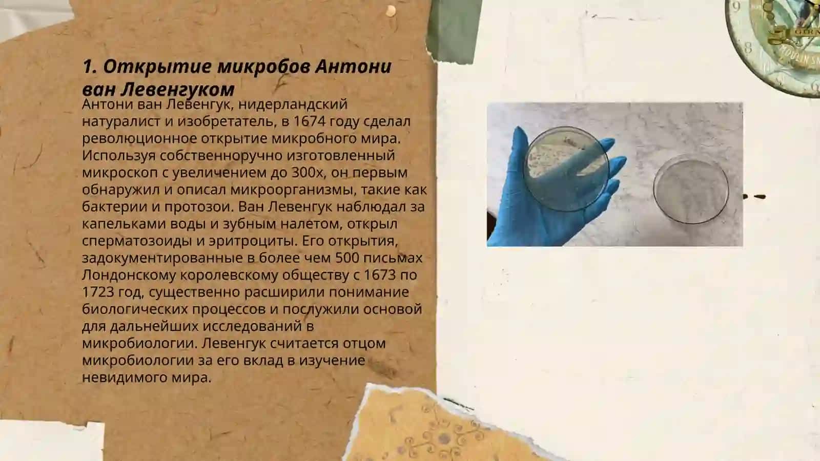 История микробиологии 3