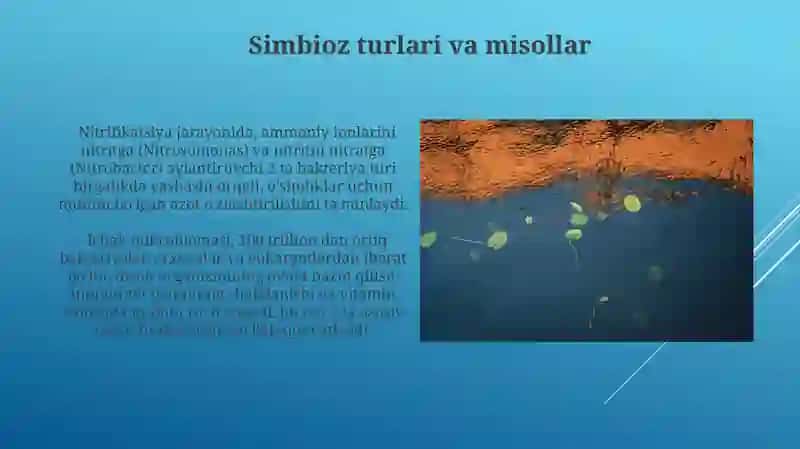 Mikroorganizmladning õzaro va boshqa organizmlar bilan aloqasi 3