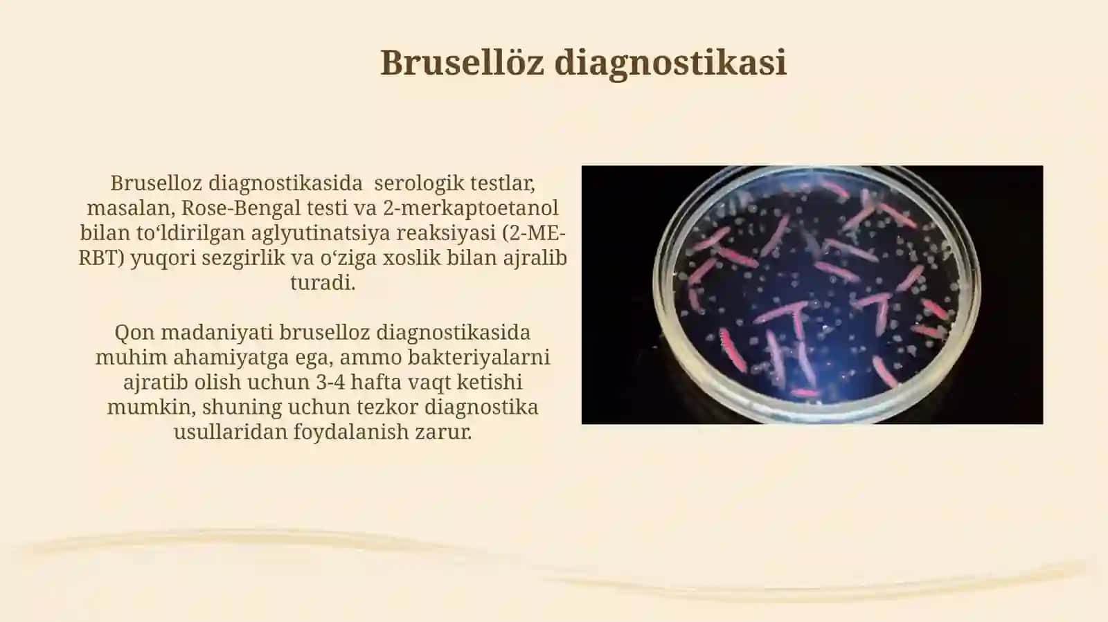 Mikrabiologiya: Brutsellyoz va o'lat qo'zg'atuvchilari 3