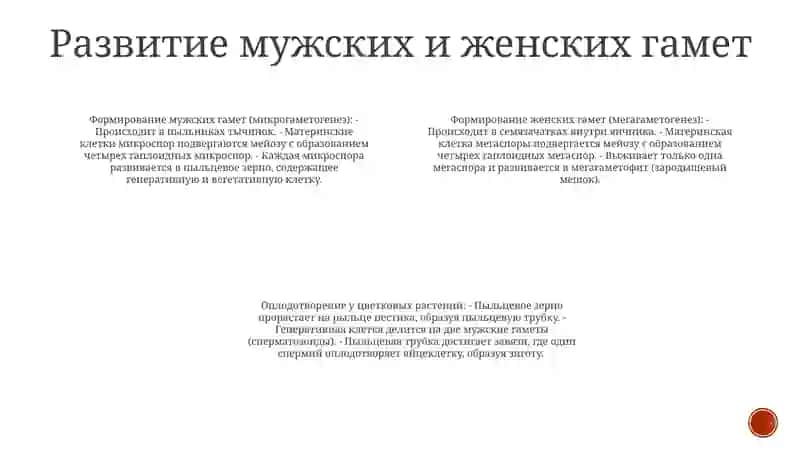 Оплодотворение Цветковых Растений 3