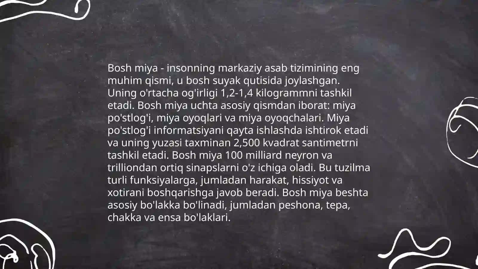 Bosh miyaning va bosh miya katta yarmsharlarining tuzilishi 3