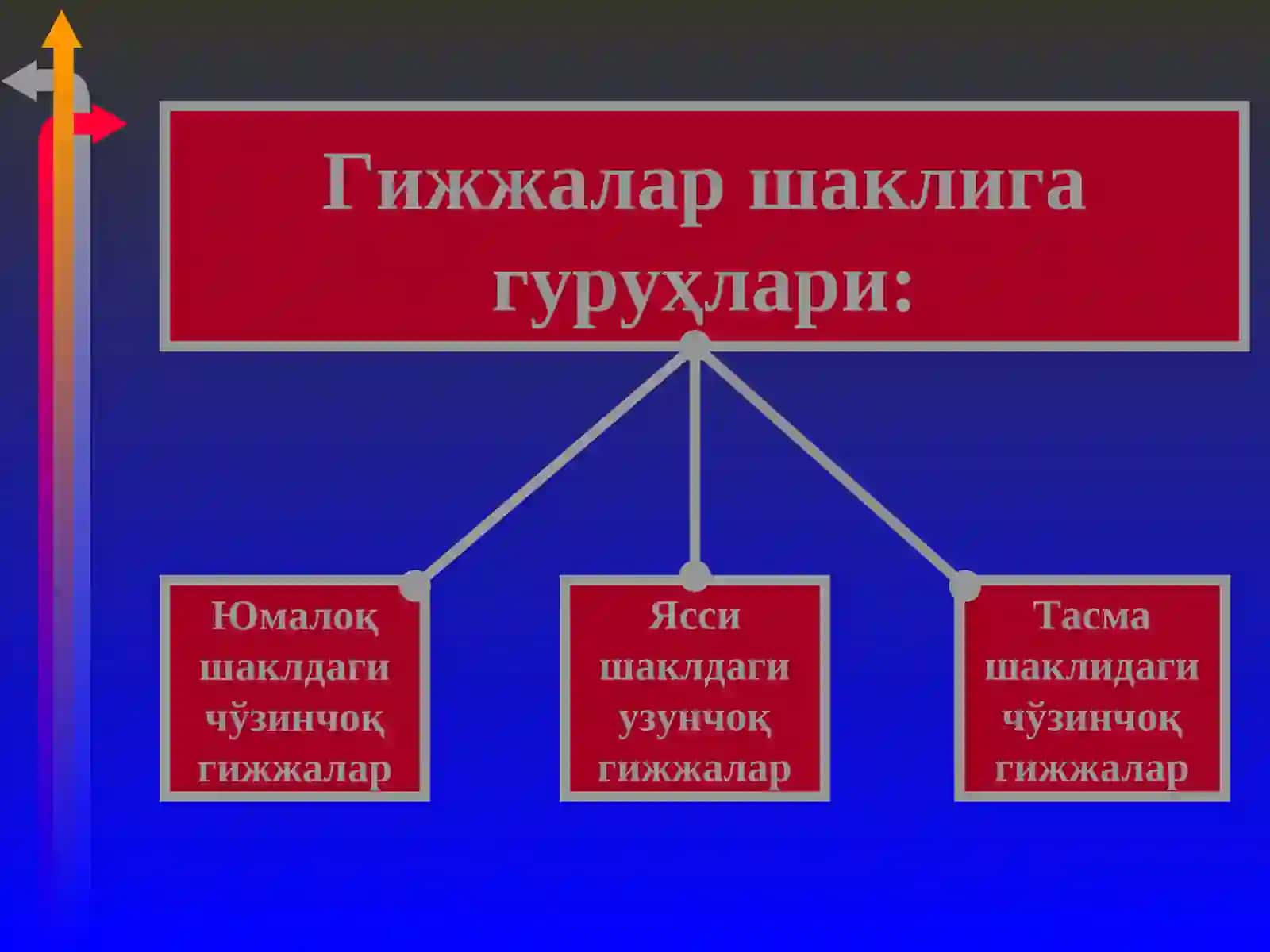 Гижжа касалликлари 3