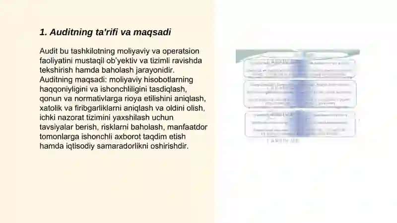 Auditga umumiy tavsif 3