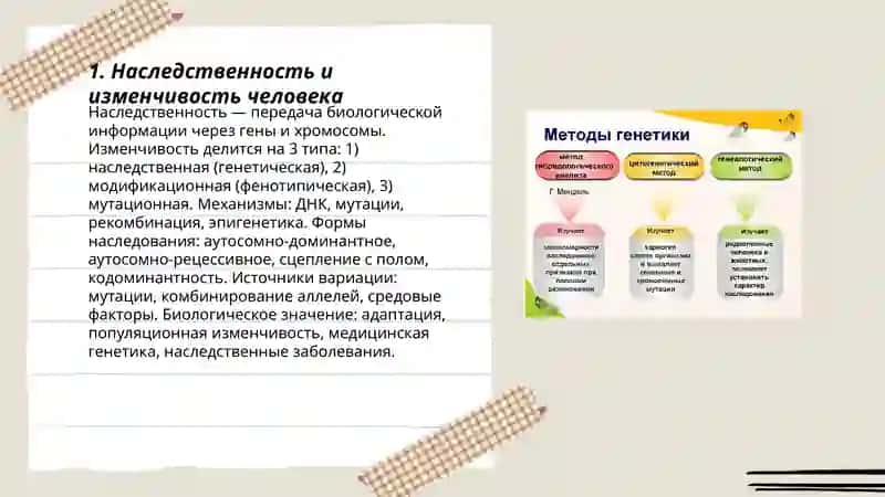 Генетика человека и её методы изучения 3