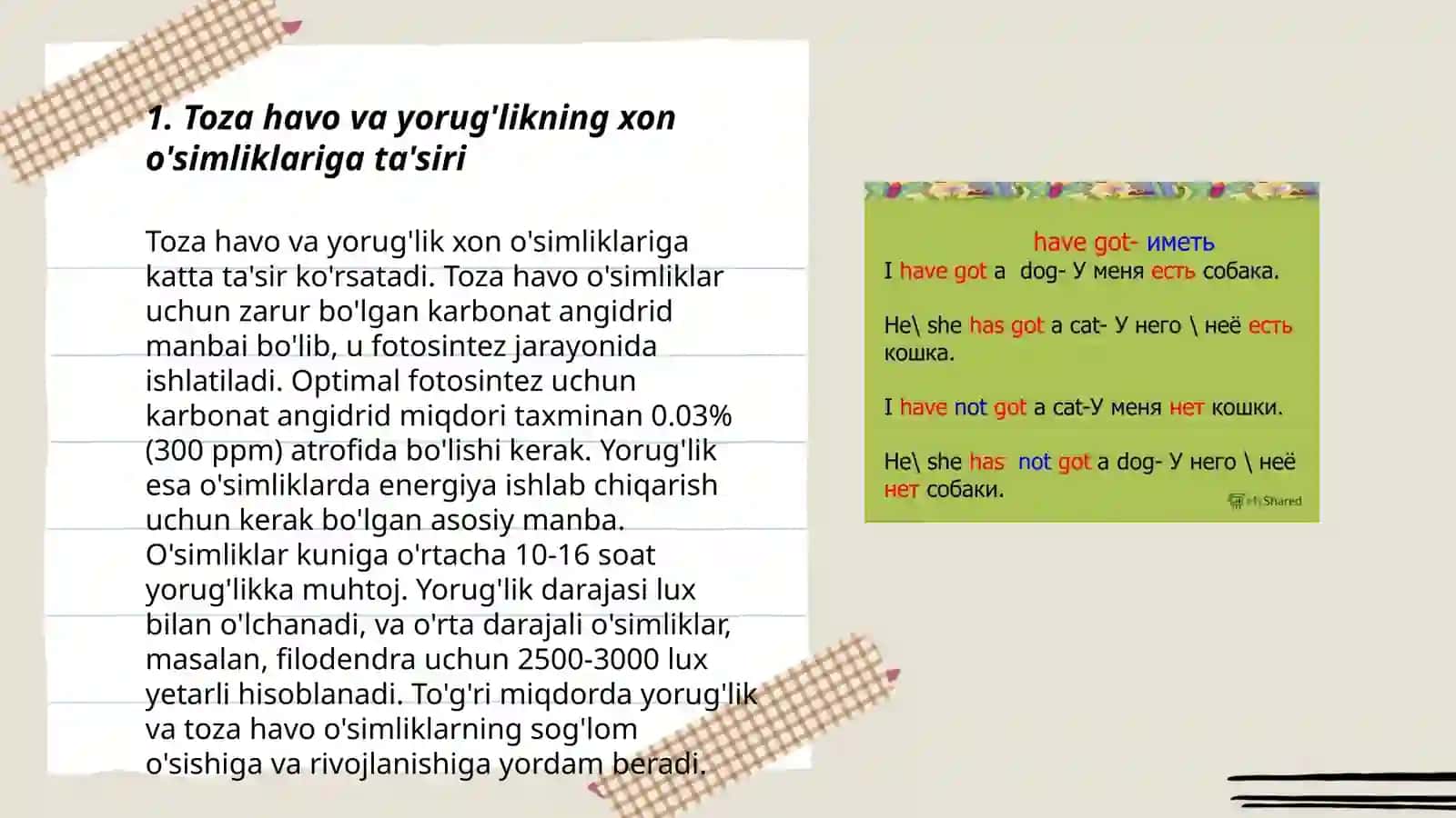 MTTda tabiat burchagi xona o'simliklari va jonivorlarni agrotexnikasi va unga qoyilagan talablar 3