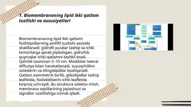 Biomembranalar. Memranalar retseptorlari Hujaylarga signallarni oʻtkazish yoʻllari 3
