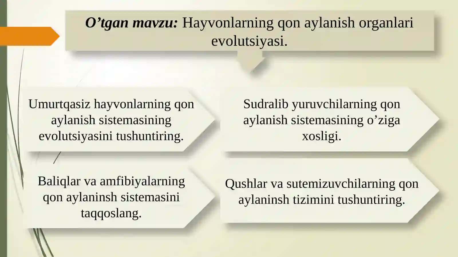 Hayvonlarning qon aylanish organlari evolutsiyasi 3