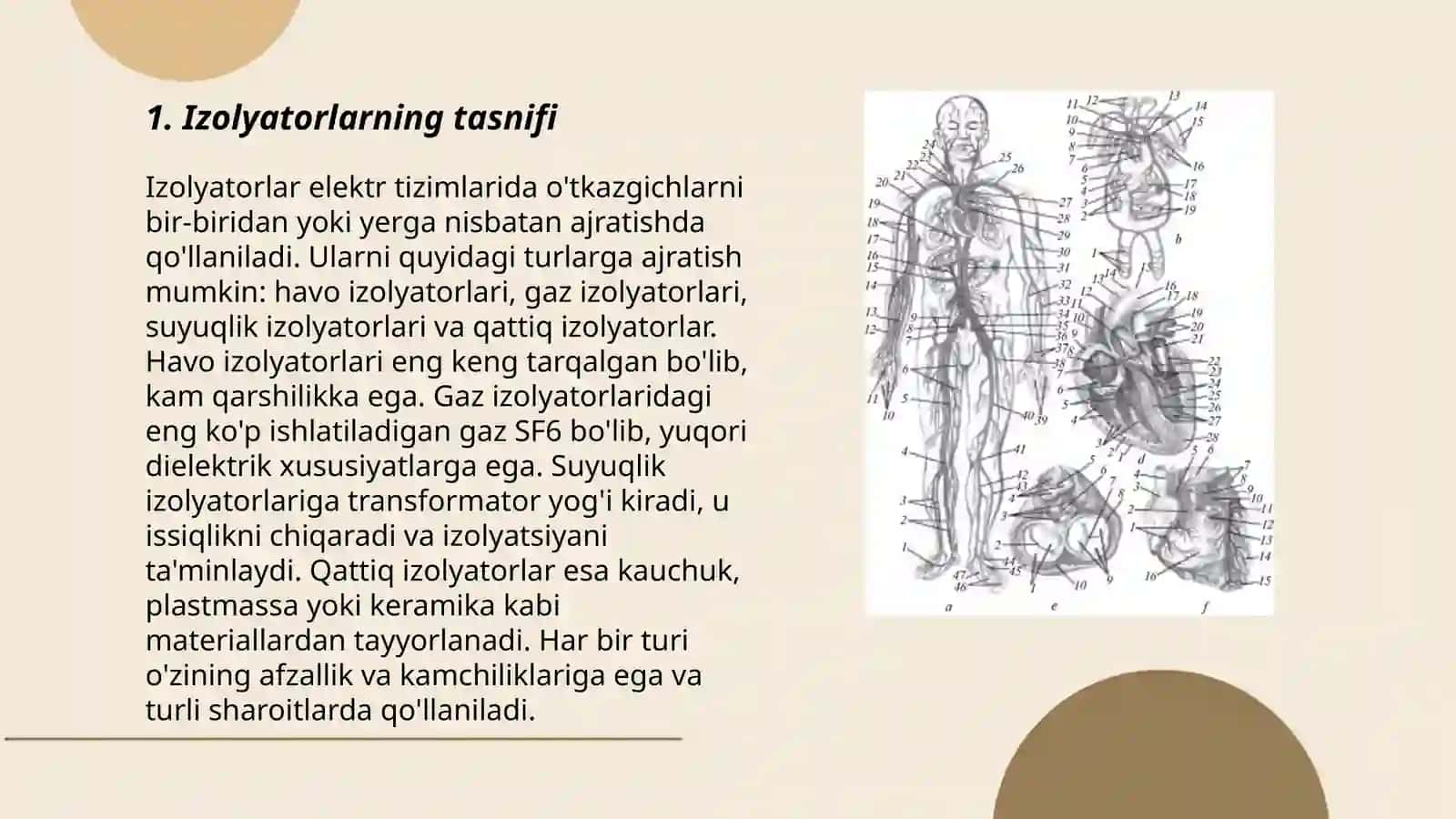 Izalyatorlar va liniya armaturalarining tuzulishi 3