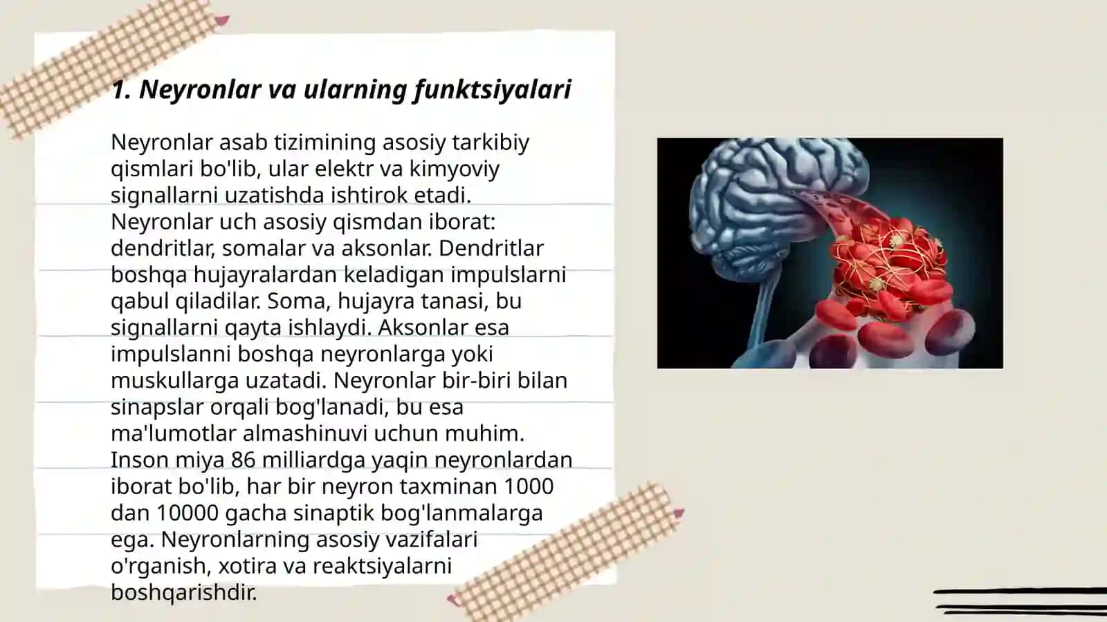 Xulq-atvorning nervfizalogik asoslari 3
