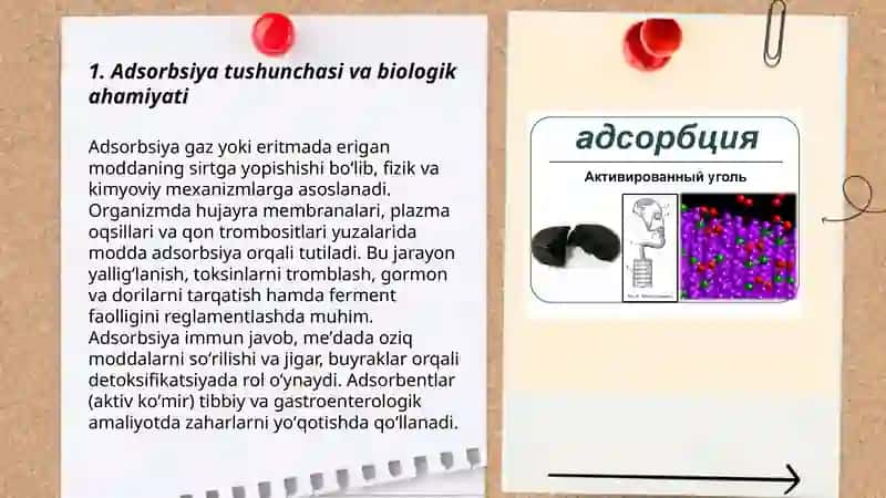 Organizm hayot faoliyatida adsorbsiya jarayoni 3
