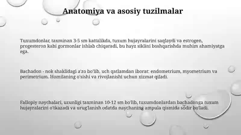 Ayollar reproduktiv tizmini fiziologiyasi 3