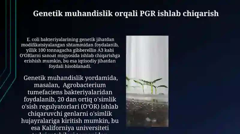 O'simliklarning osish regulyatorlarini ishlab chiqarishning biotexologiyasi 3