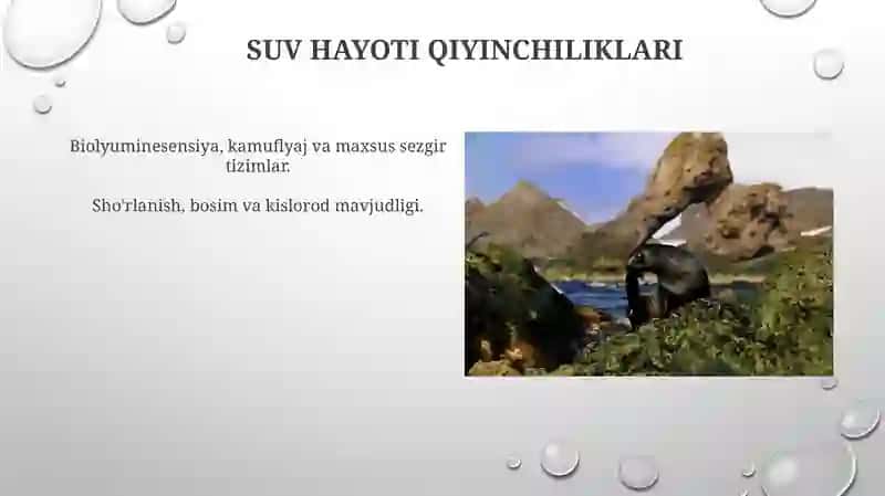 Suv muhitida organizmlarni moslanishi 3