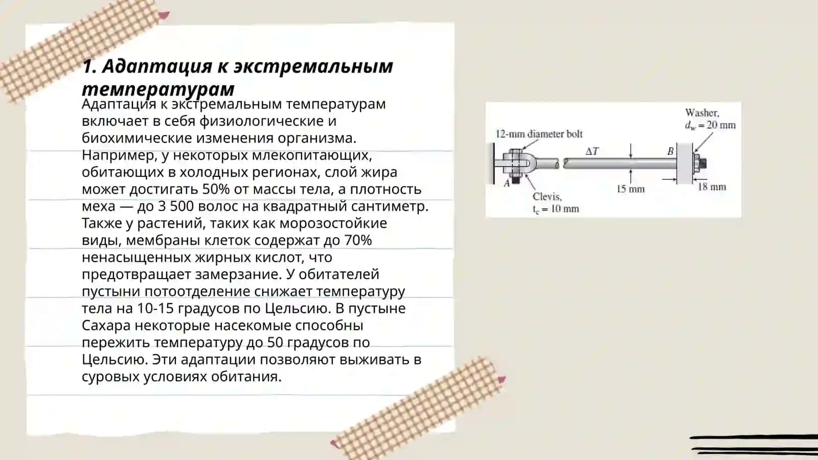 Подготовить словарь терминов по данной теме 3